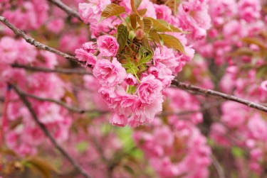 温州平阳8线下个人借款平台一站式服务，轻松解决资金难题