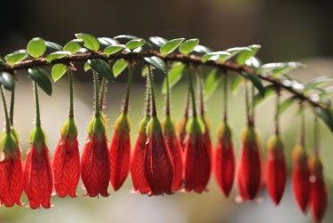 温州平阳8零用贷短借：轻松解决临时资金需求