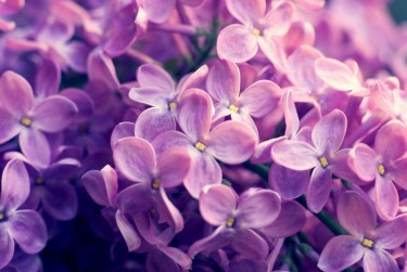 温州平阳8企业急用钱贷款攻略：快速融资解燃眉之急